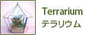 Terrarium／テラリウム