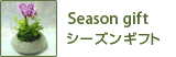Season gift／シーズンギフト
